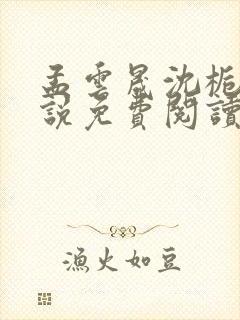 孟云晟沈栀意小说免费阅读最新章节