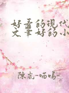 好看的现代言情文笔好的小说