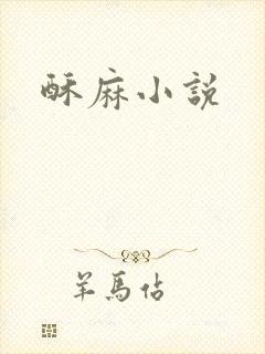 酥麻小说