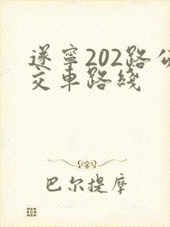 遂宁202路公交车路线