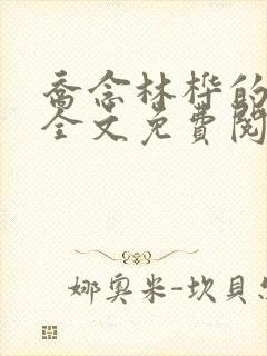 乔念林桦的小说全文免费阅读无弹窗