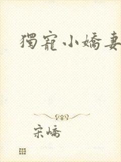 独宠小娇妻