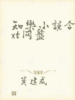 知乐小说合集txt网盘