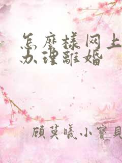 怎么样网上快速办理离婚