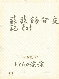 苏苏的公交车日记 txt