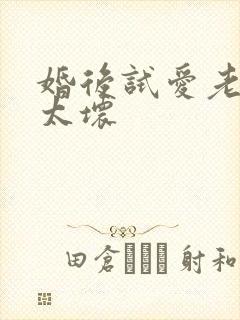 婚后试爱老公别太坏