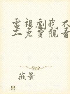 电视剧我不是特工免费观看