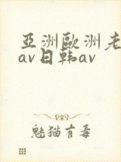 亚洲欧洲老熟妇av日韩av