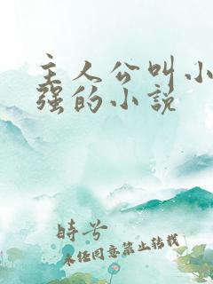 主人公叫小可志强的小说