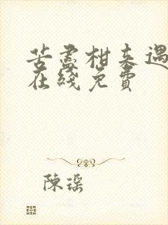 苦尽柑来遇见你在线免费