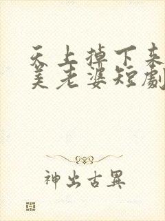 天上掉下来个绝美老婆短剧全集在线观看免费