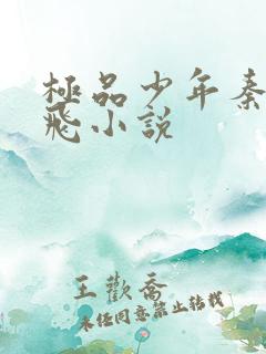 极品少年秦姨小飞小说