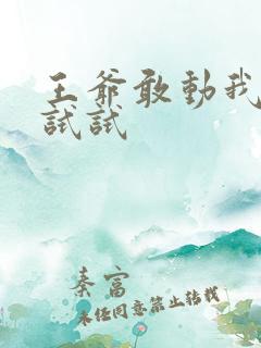 王爷敢动我妈咪试试