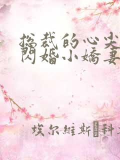 总裁的心尖宠是闪婚小娇妻