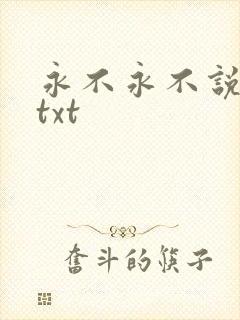 永不永不说再见txt