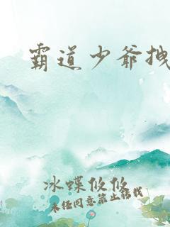 霸道少爷拽上我