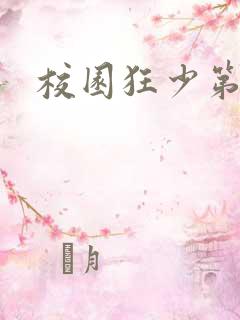 校园狂少第二部