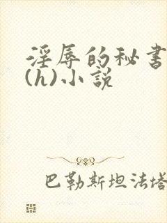 淫辱的秘书调教(h)小说