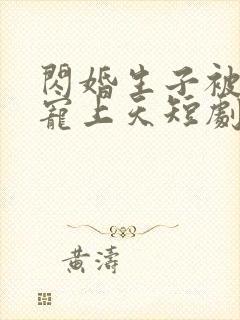 闪婚生子被老公宠上天短剧免费观看