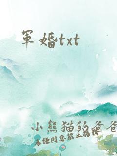 军婚txt