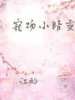 宠物小精灵之梦