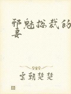 邪魅总裁的替身妻