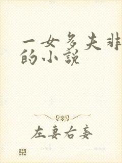 一女多夫非女尊的小说