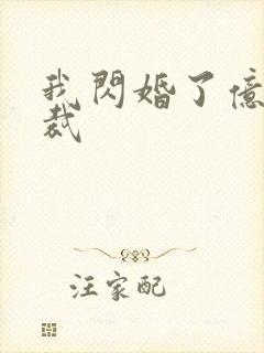 我闪婚了亿万总裁