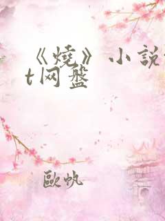 《烧》小说txt网盘