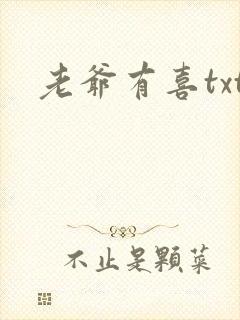 老爷有喜txt