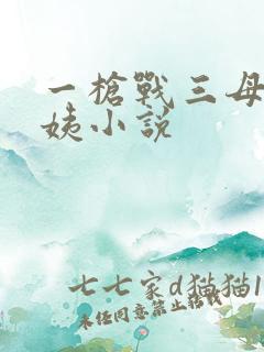 一枪战三母2雪姨小说