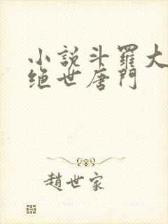 小说斗罗大陆2绝世唐门