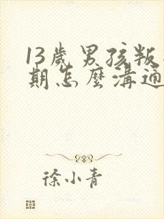 13岁男孩叛逆期怎么沟通