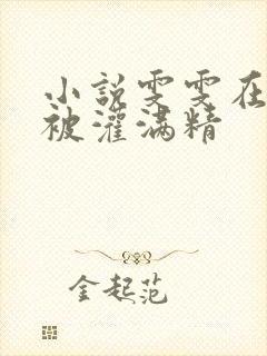 小说雯雯在工地被灌满精