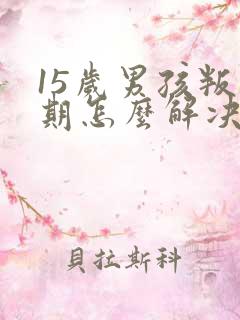 15岁男孩叛逆期怎么解决