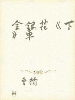 金银花《下厨房》车