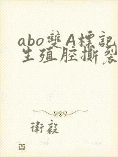 abo双A标记生殖腔撕裂