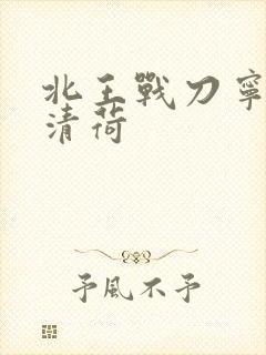 北王战刀宁北苏清荷