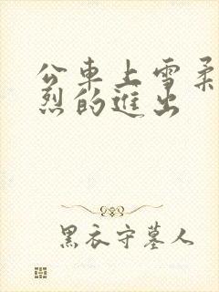 公车上雪柔被猛烈的进出