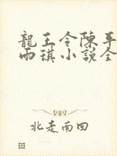 龙王令陈平,苏雨琪小说全文免费阅读