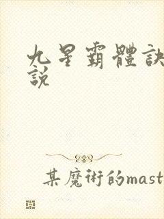 九星霸体诀 小说