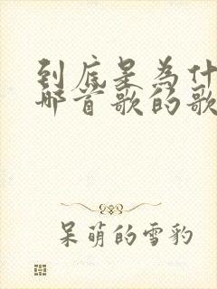 到底是为什么是哪首歌的歌词