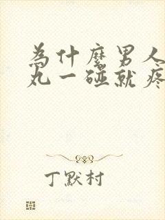 为什么男人的睾丸一碰就疼