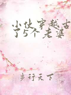 小伙穿越古代娶了5个老婆