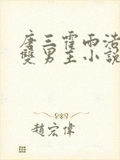 唐三霍雨浩cp双男主小说