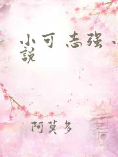 小可 志强 小说