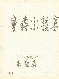 恋老小说言情网农村小说全文阅读