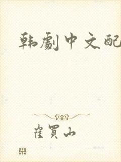 韩剧中文配音
