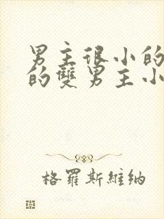 男主很小的恋童的双男主小说