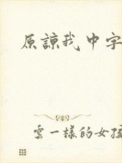 原谅我中字